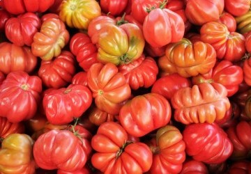 Container-6.webp